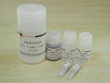 细胞线粒体分离试剂盒